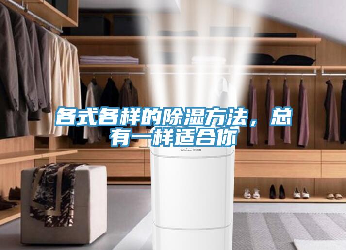 各式各樣的除濕方法，總有一樣適合你