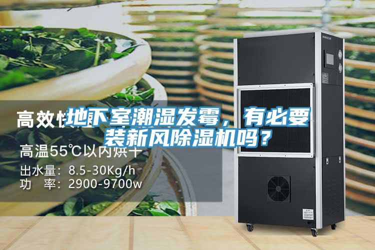 地下室潮濕發(fā)霉，有必要裝新風(fēng)除濕機(jī)嗎？
