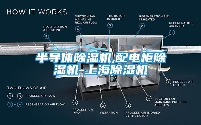 半導(dǎo)體除濕機(jī),配電柜除濕機(jī)-上海除濕機(jī)