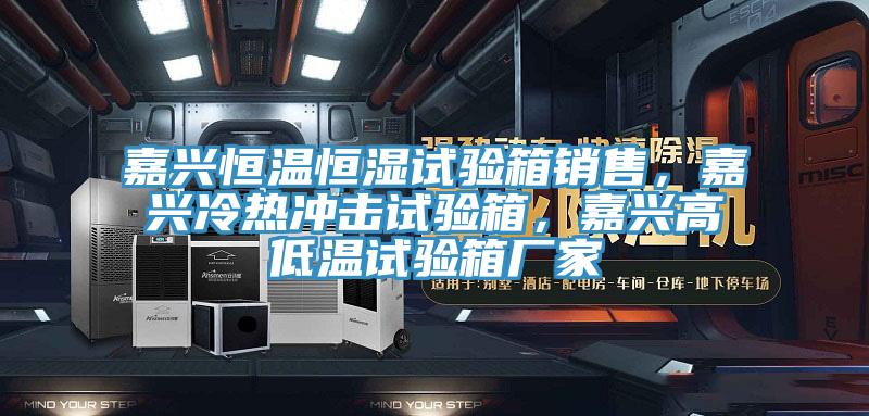 嘉興恒溫恒濕試驗(yàn)箱銷售，嘉興冷熱沖擊試驗(yàn)箱，嘉興高低溫試驗(yàn)箱廠家