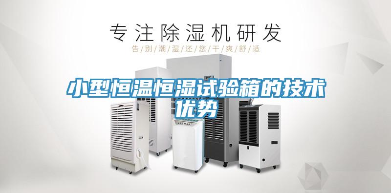 小型恒溫恒濕試驗(yàn)箱的技術(shù)優(yōu)勢(shì)