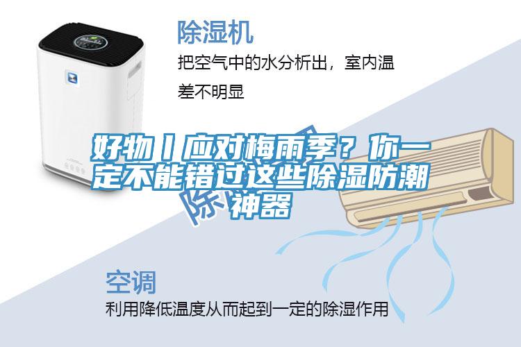 好物丨應對梅雨季？你一定不能錯過這些除濕防潮神器
