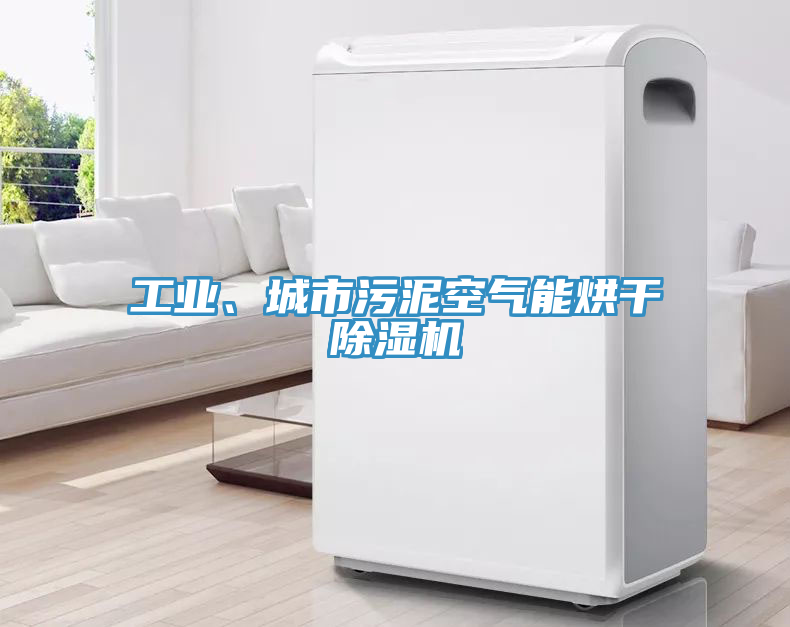 工業(yè)、城市污泥空氣能烘干除濕機(jī)