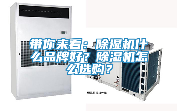 帶你來看：除濕機什么品牌好？除濕機怎么選購？