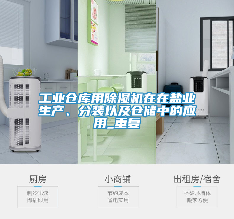 工業(yè)倉庫用除濕機(jī)在在鹽業(yè)生產(chǎn)、分裝以及倉儲(chǔ)中的應(yīng)用_重復(fù)