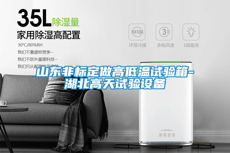 山東非標定做高低溫試驗箱-湖北高天試驗設(shè)備