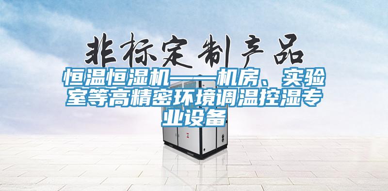 恒溫恒濕機——機房、實驗室等高精密環(huán)境調(diào)溫控濕專業(yè)設(shè)備