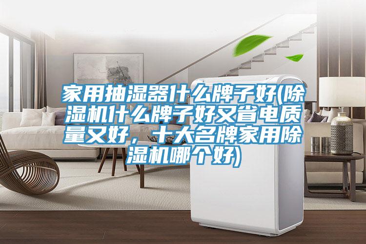 家用抽濕器什么牌子好(除濕機什么牌子好又省電質量又好，十大名牌家用除濕機哪個好)