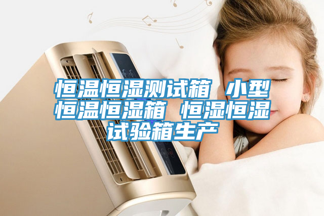 恒溫恒濕測(cè)試箱 小型恒溫恒濕箱 恒濕恒濕試驗(yàn)箱生產(chǎn)