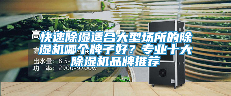 快速除濕適合大型場(chǎng)所的除濕機(jī)哪個(gè)牌子好？專業(yè)十大除濕機(jī)品牌推薦