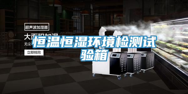 恒溫恒濕環(huán)境檢測試驗(yàn)箱