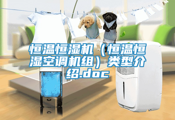 恒溫恒濕機（恒溫恒濕空調(diào)機組）類型介紹.doc