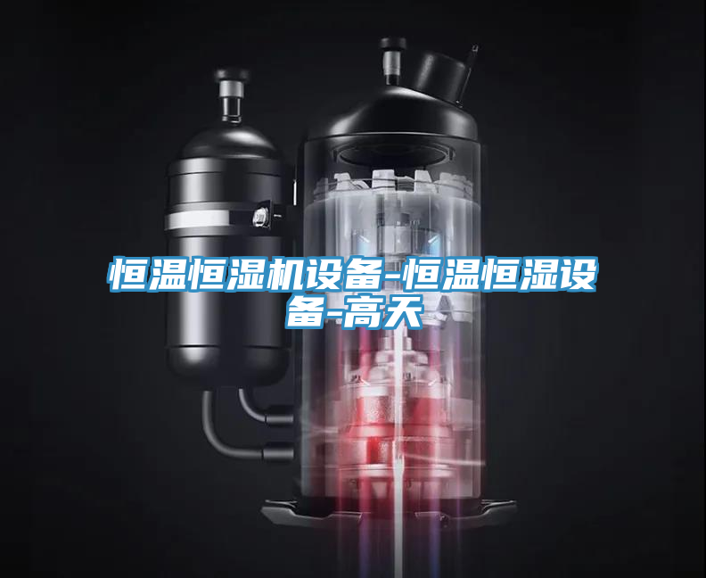 恒溫恒濕機設(shè)備-恒溫恒濕設(shè)備-高天
