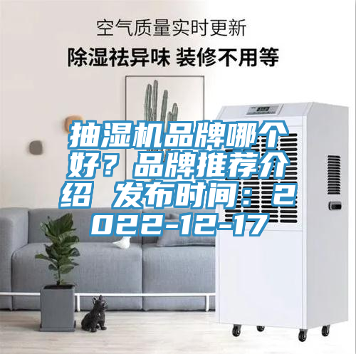 抽濕機(jī)品牌哪個好？品牌推薦介紹 發(fā)布時間：2022-12-17