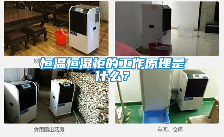 恒溫恒濕柜的工作原理是什么？