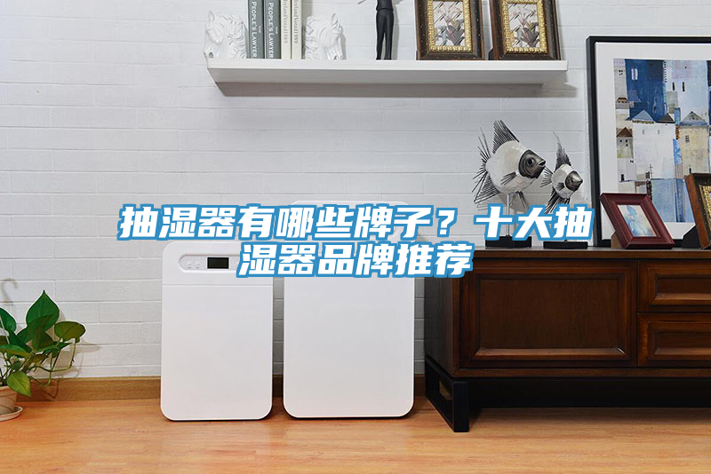抽濕器有哪些牌子？十大抽濕器品牌推薦