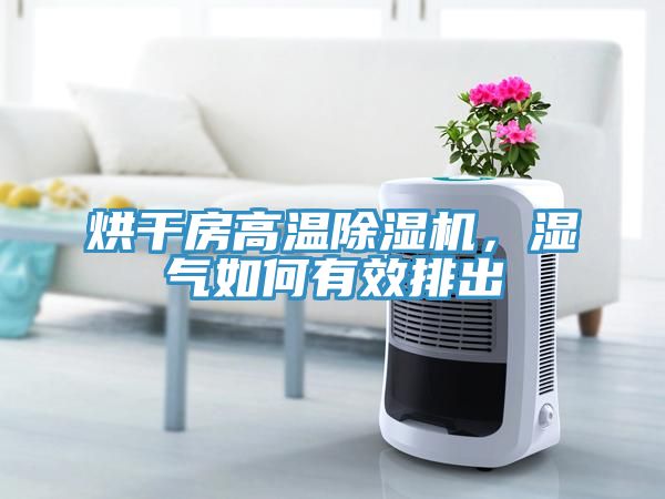 烘干房高溫除濕機(jī)，濕氣如何有效排出