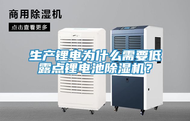 生產(chǎn)鋰電為什么需要低露點鋰電池除濕機？