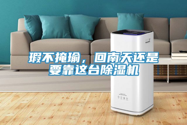 瑕不掩瑜，回南天還是要靠這臺除濕機