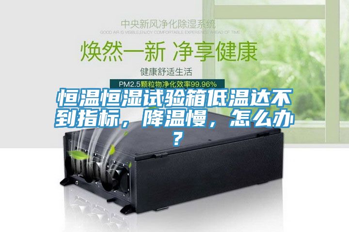 恒溫恒濕試驗箱低溫達不到指標，降溫慢，怎么辦？
