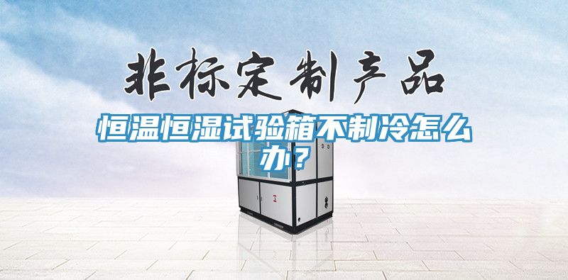 恒溫恒濕試驗箱不制冷怎么辦？