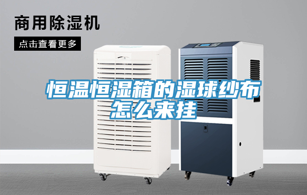 恒溫恒濕箱的濕球紗布怎么來(lái)掛