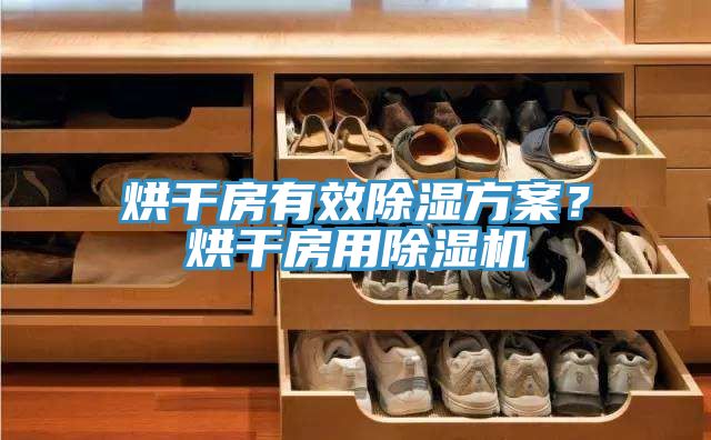烘干房有效除濕方案？烘干房用除濕機(jī)