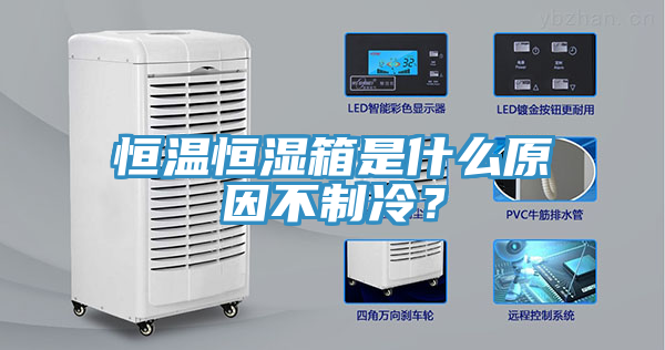 恒溫恒濕箱是什么原因不制冷？