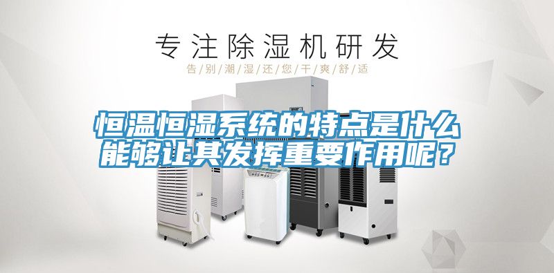 恒溫恒濕系統(tǒng)的特點(diǎn)是什么能夠讓其發(fā)揮重要作用呢？
