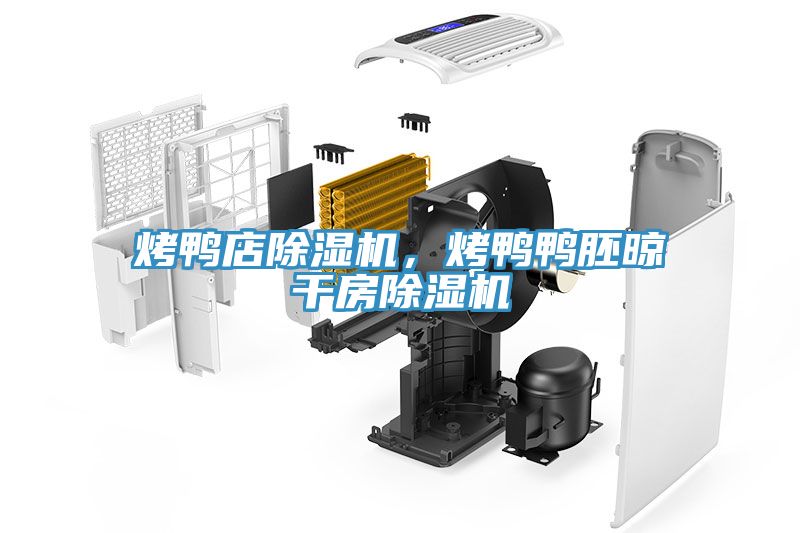 烤鴨店除濕機，烤鴨鴨胚晾干房除濕機