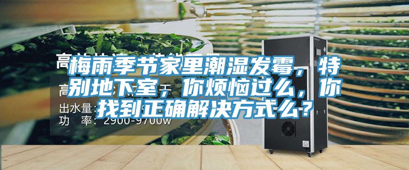 梅雨季節(jié)家里潮濕發(fā)霉，特別地下室，你煩惱過么，你找到正確解決方式么？