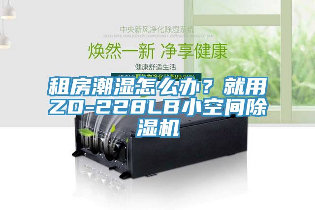 租房潮濕怎么辦？就用ZD-228LB小空間除濕機(jī)