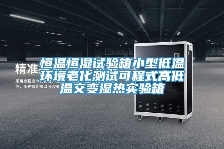 恒溫恒濕試驗(yàn)箱小型低溫環(huán)境老化測試可程式高低溫交變濕熱實(shí)驗(yàn)箱