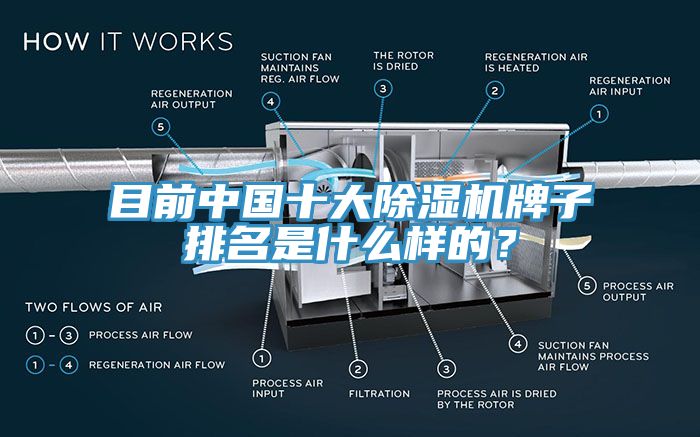 目前中國十大除濕機牌子排名是什么樣的？