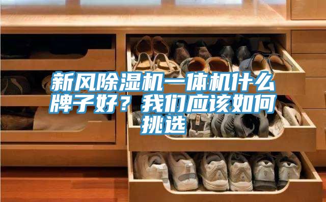 新風(fēng)除濕機(jī)一體機(jī)什么牌子好？我們應(yīng)該如何挑選