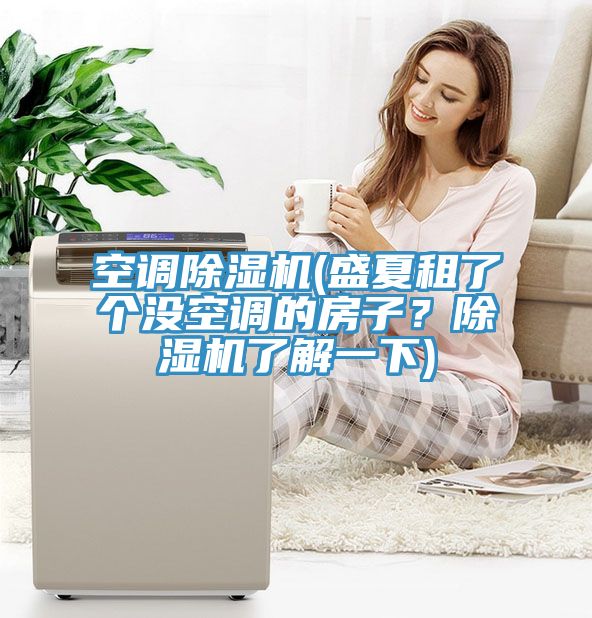 空調(diào)除濕機(jī)(盛夏租了個(gè)沒空調(diào)的房子？除濕機(jī)了解一下)