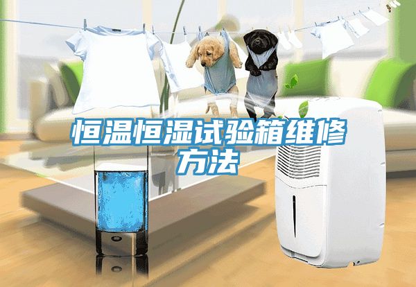 恒溫恒濕試驗(yàn)箱維修方法
