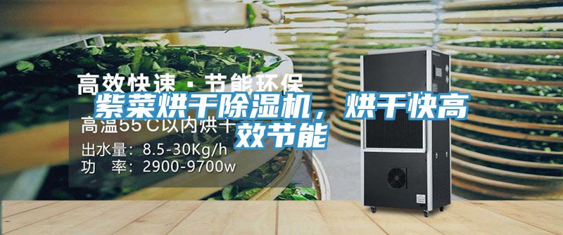 紫菜烘干除濕機(jī)，烘干快高效節(jié)能