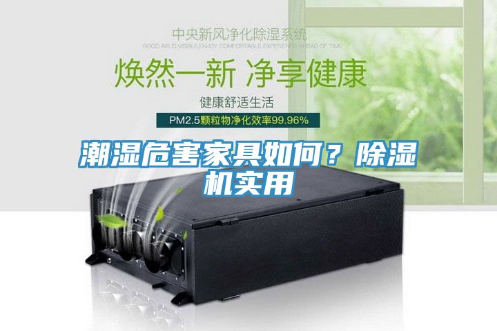 潮濕危害家具如何？除濕機(jī)實(shí)用
