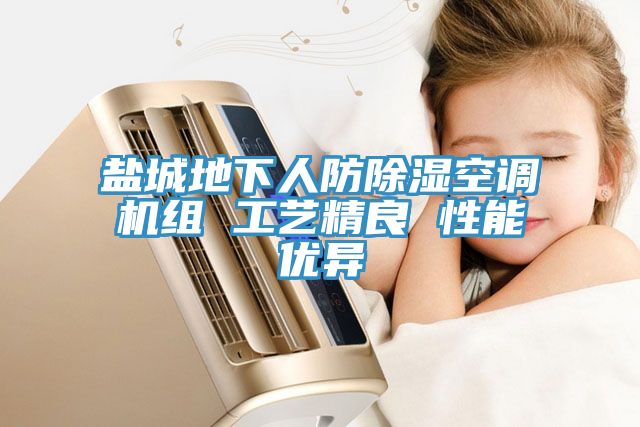 鹽城地下人防除濕空調機組 工藝精良 性能優(yōu)異