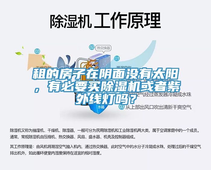 租的房子在陰面沒有太陽，有必要買除濕機(jī)或者紫外線燈嗎？