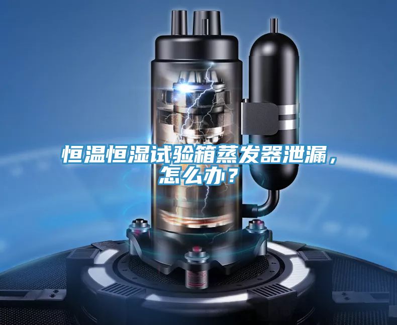 恒溫恒濕試驗箱蒸發(fā)器泄漏，怎么辦？