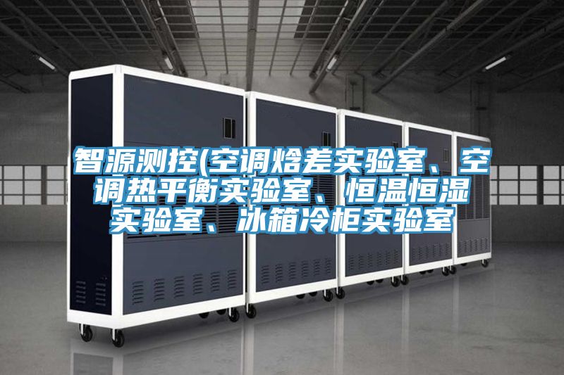 智源測控(空調(diào)焓差實驗室、空調(diào)熱平衡實驗室、恒溫恒濕實驗室、冰箱冷柜實驗室