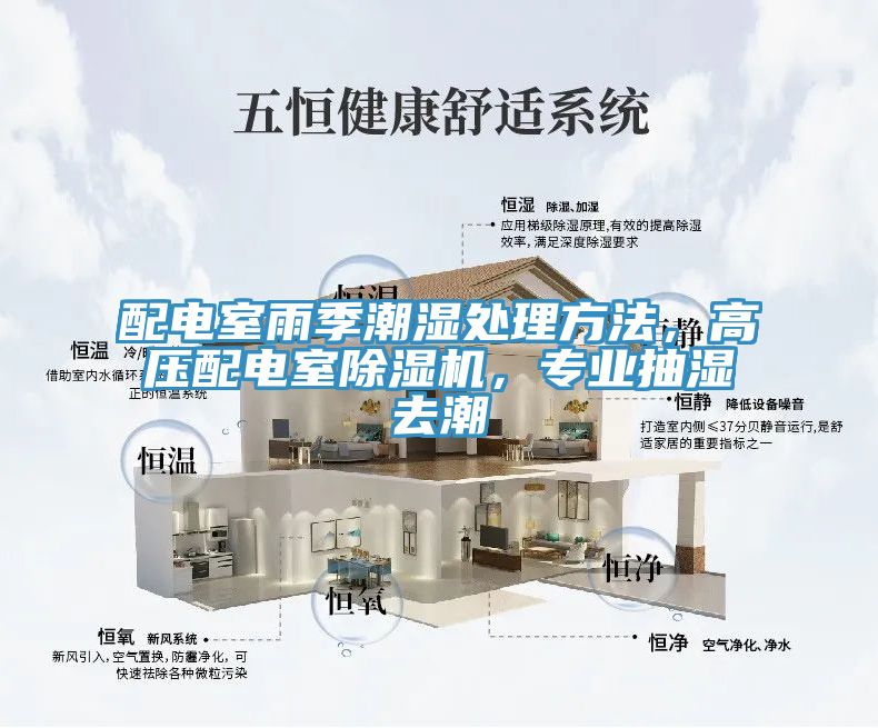 配電室雨季潮濕處理方法，高壓配電室除濕機(jī)，專業(yè)抽濕去潮
