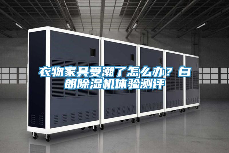 衣物家具受潮了怎么辦？白朗除濕機體驗測評