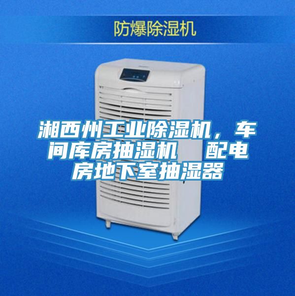 湘西州工業(yè)除濕機(jī)，車間庫房抽濕機(jī)  配電房地下室抽濕器