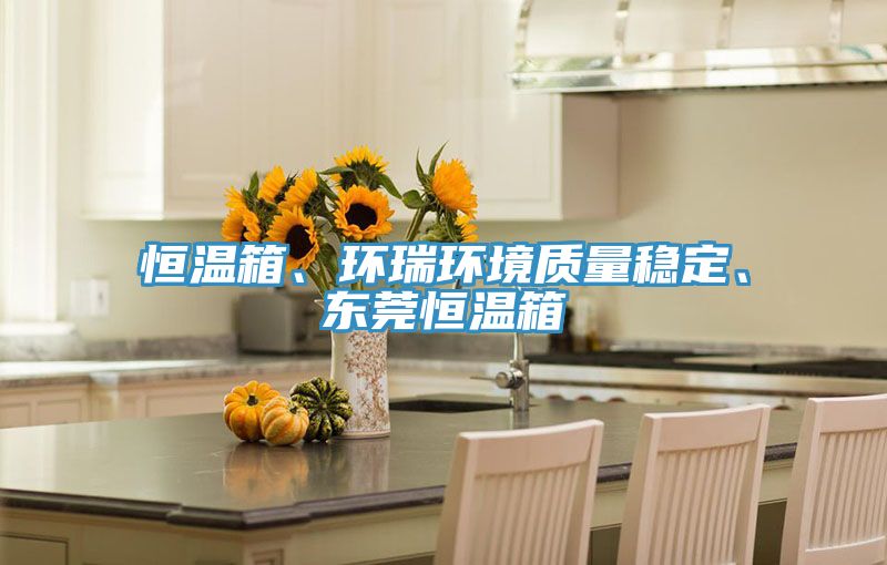 恒溫箱、環(huán)瑞環(huán)境質(zhì)量穩(wěn)定、東莞恒溫箱