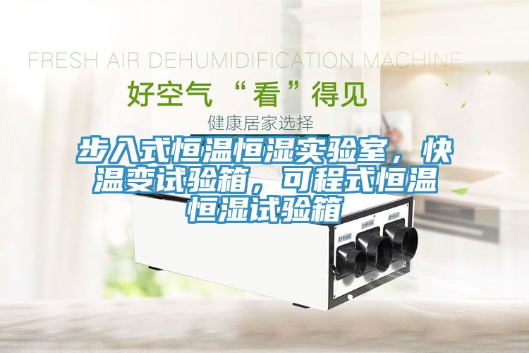 步入式恒溫恒濕實(shí)驗(yàn)室，快溫變?cè)囼?yàn)箱，可程式恒溫恒濕試驗(yàn)箱