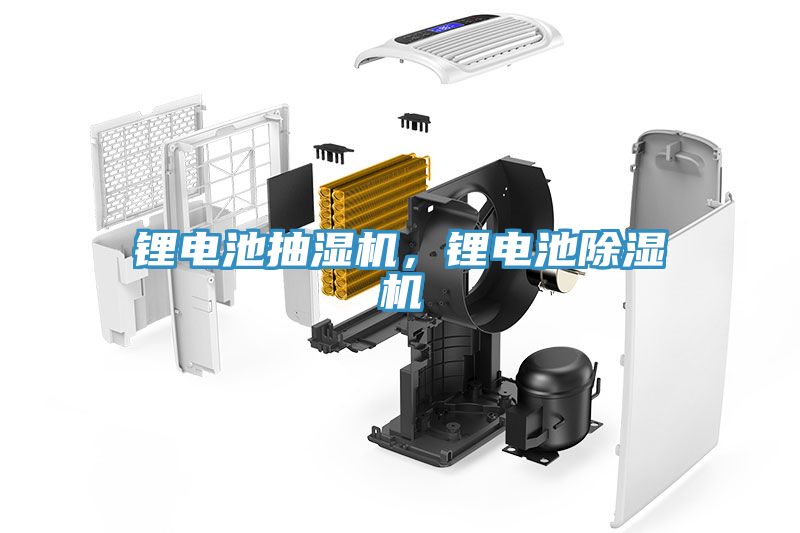 鋰電池抽濕機(jī)，鋰電池除濕機(jī)