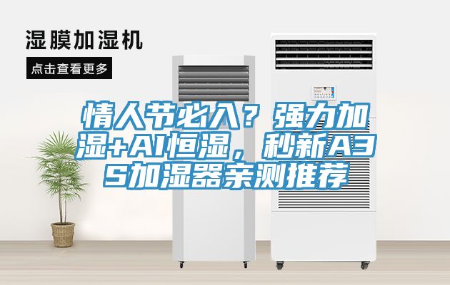 情人節(jié)必入？強力加濕+AI恒濕，秒新A3S加濕器親測推薦